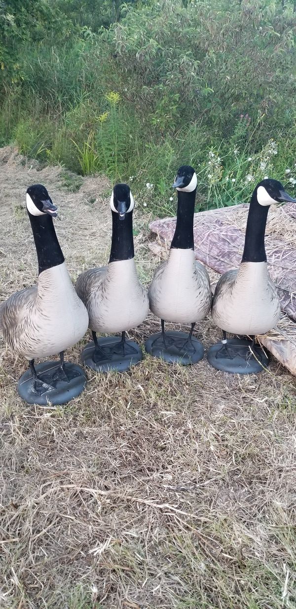Goose Decoys For Sale >> Full Body Goose Decoys Lookouts For Sale In Durand Mi Offerup Goose Decoys For Sale >> Full Body Goose Decoys Lookouts For Sale In Durand Mi Offerup