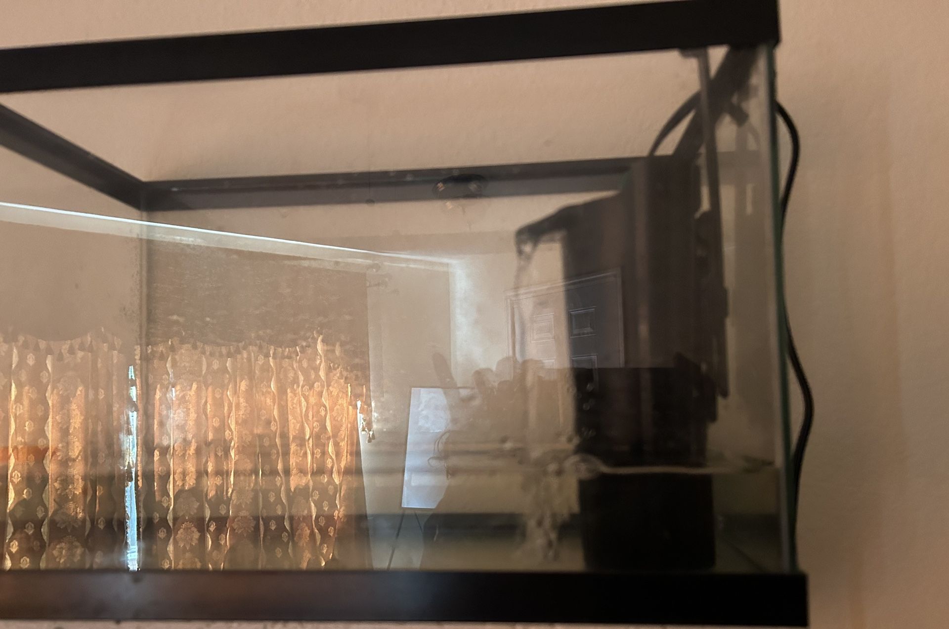 Fish Tank Like New With A Fish And Almost New Filter