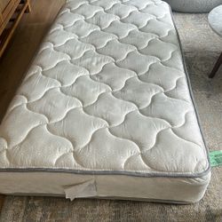 *free* Costco Sealy Twin Size Bed