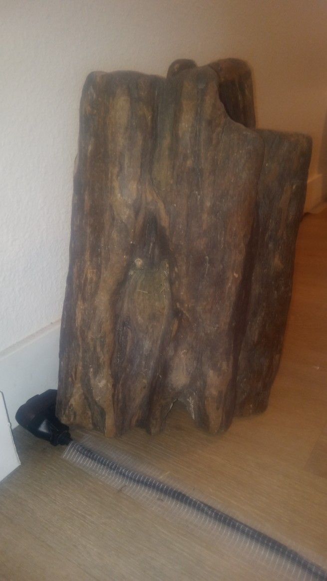 Petrified Wood