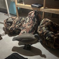 12 Bigfoot goose Decoys With Bags For Sale