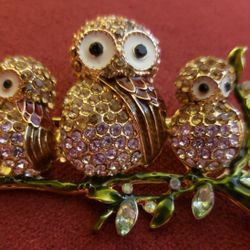 Napier Three Owls On A Branch