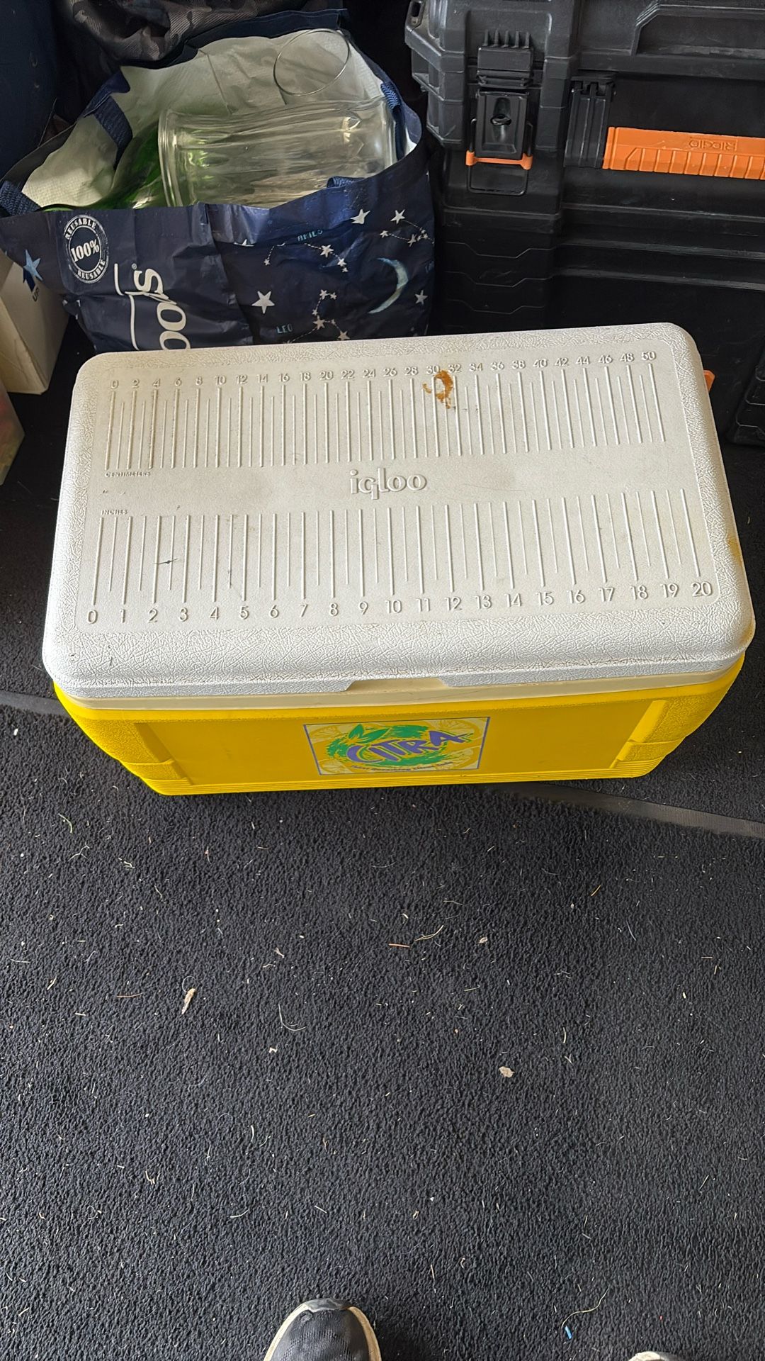 Nice Igloo Cooler Chest