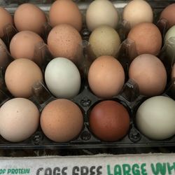 Home Chef Chickens Eggs 