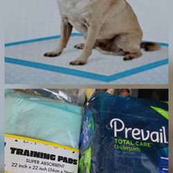 Bed Pads Or Training Pads 