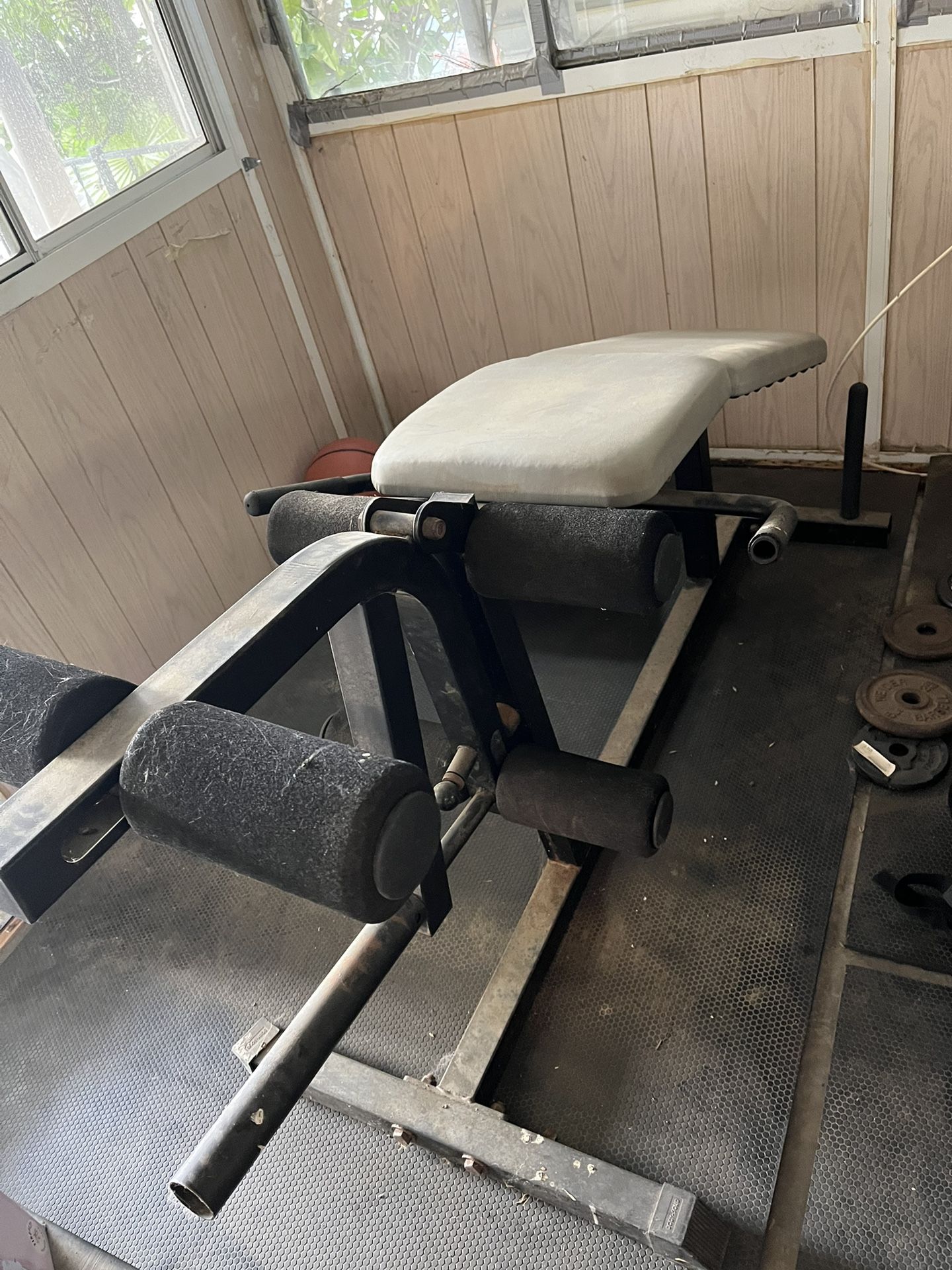 Weight Bench