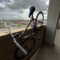 all City Fixie 