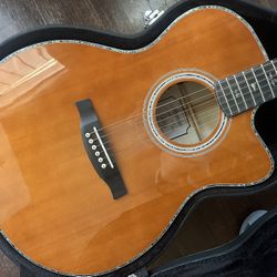 Acoustic Guitar (electric plug in)