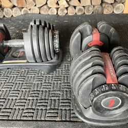 Bowflex Adjustable Dumbbells