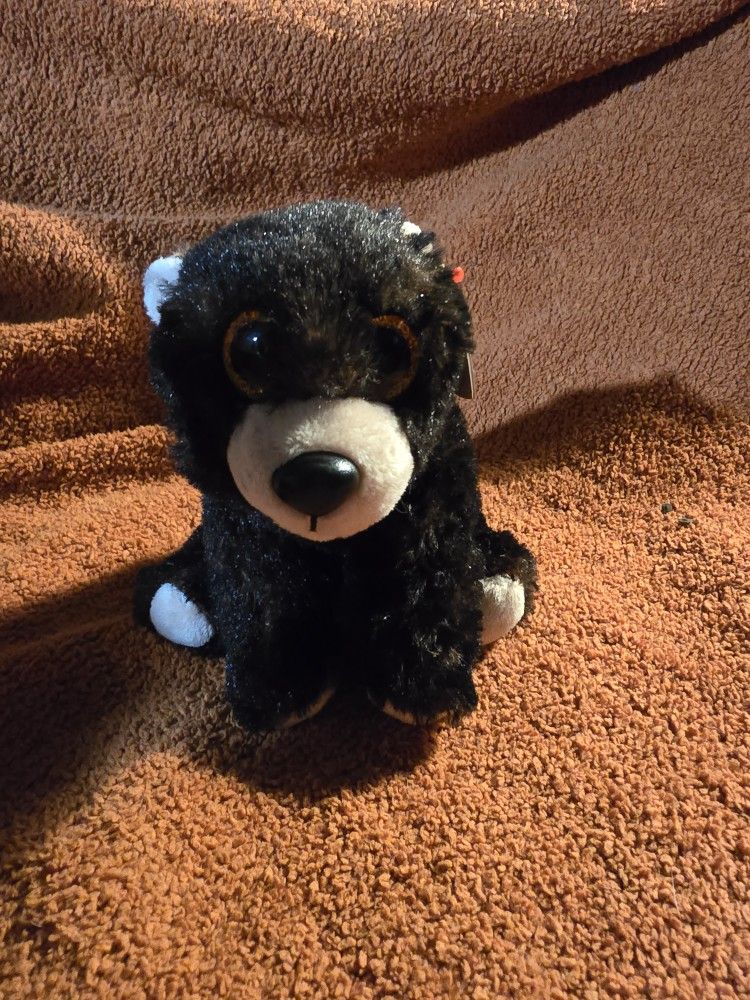 TY Toy