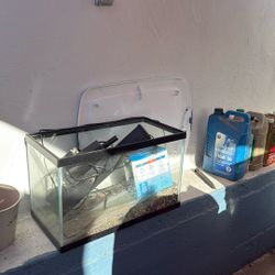 Used Fish Tank 