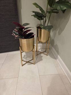 Gold Indoor/Outdoor Metal Planters