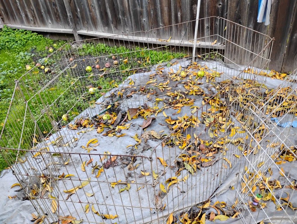 Playpens For Dogs 15.00 Ea