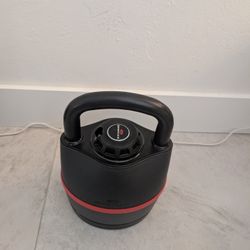 Bowflex Kettlebells 840