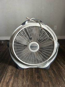 Wind machine fan
