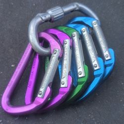 REI Non-locking Carabiners X 5