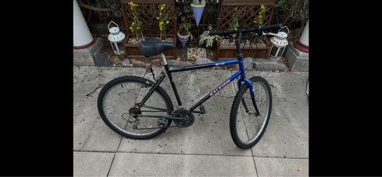 Raleigh Bicycle