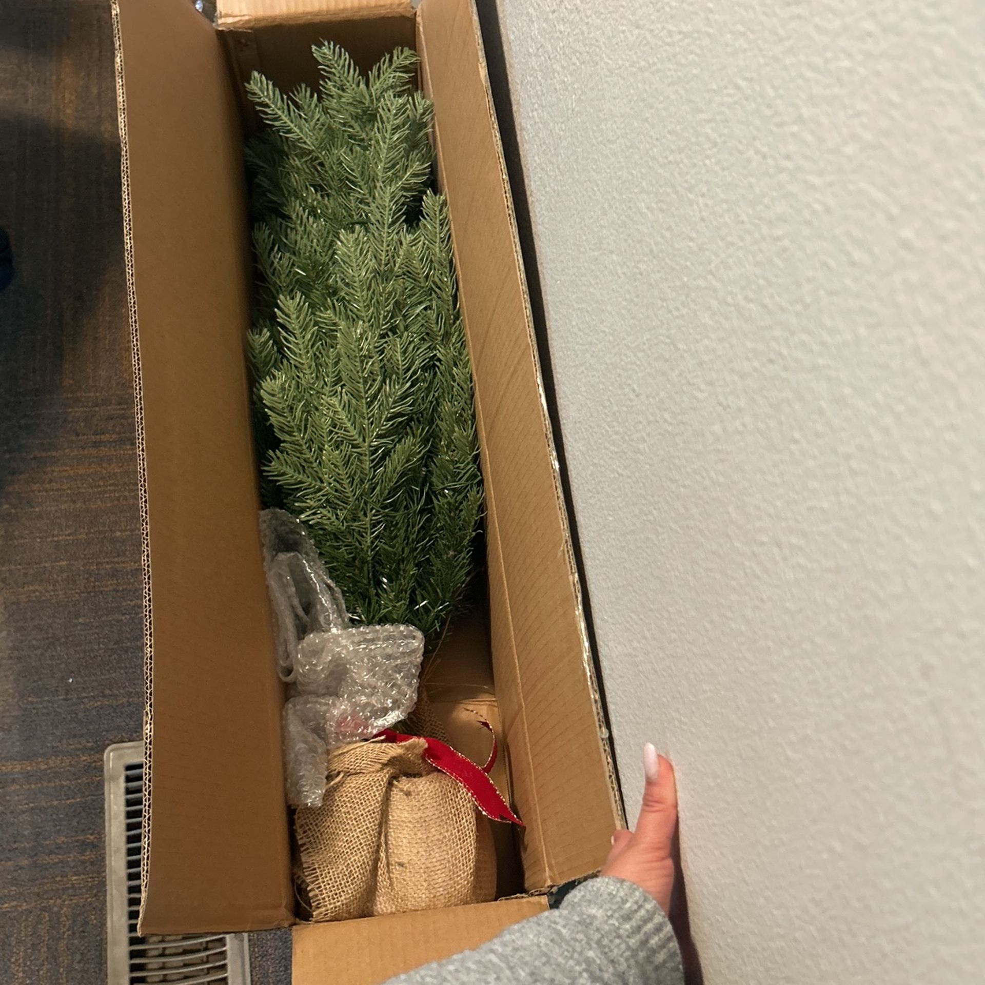 National Tree Comp. Two 3 Ft Pre-lit Nordic Spruce Tree