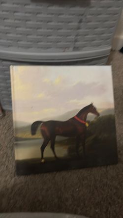 Horse book for kids