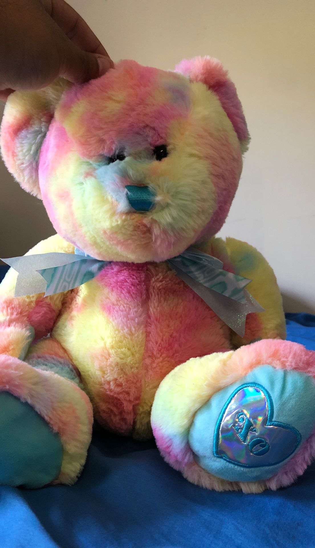 Hug fun Rainbow teddy bear
