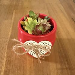 ❤️Valentines Day 🎁🪴Succulent Arrangement in Red Heart Vase