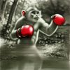 Clueless Monkey Shadow Boxing