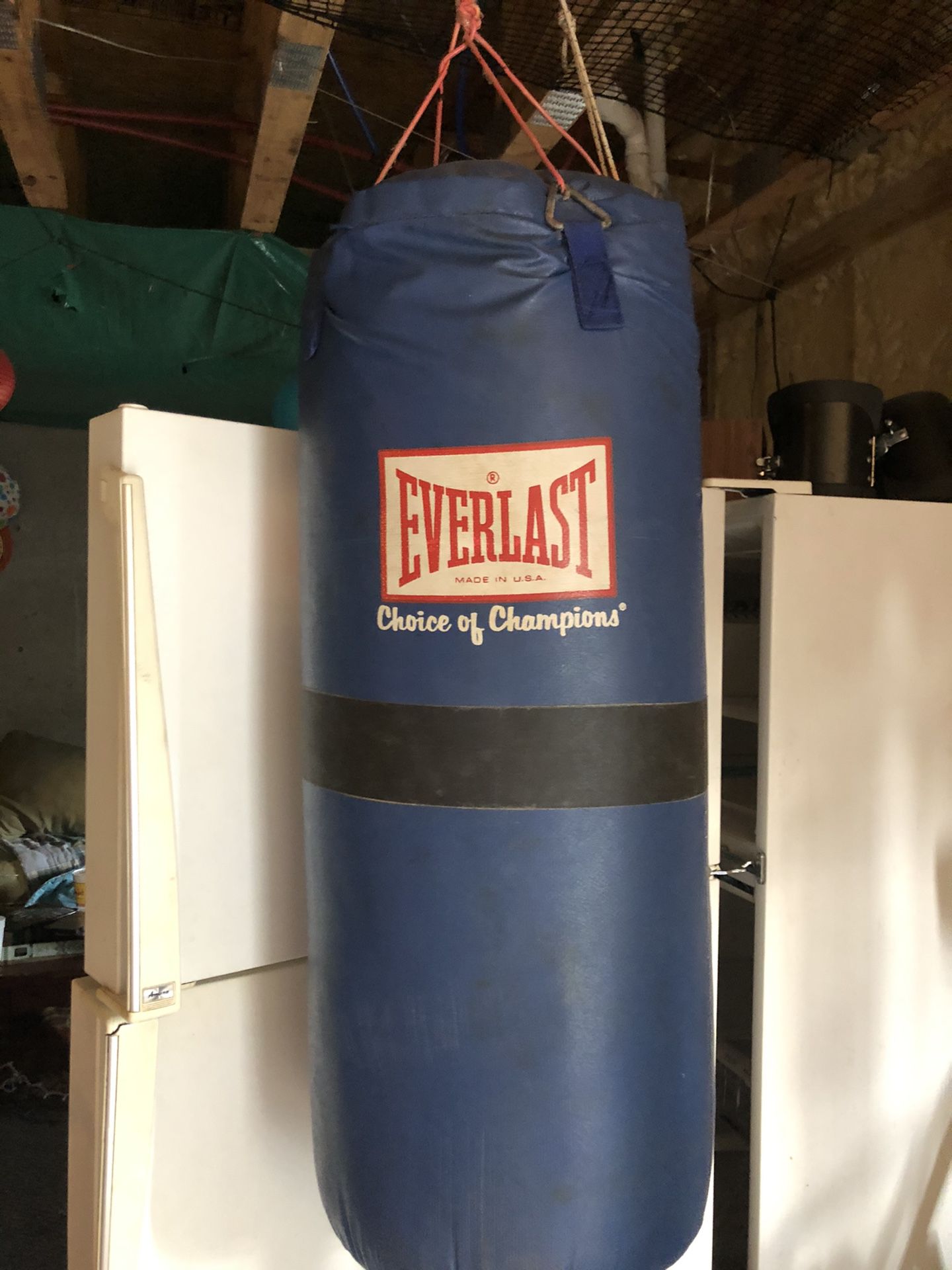 Everlast heavy duty punching bag