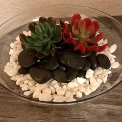 Brand-new Succulent Spring Decor