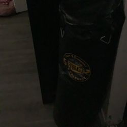 Everlast “choice Of Champions Worldwide” Heavy Punching Bag 