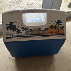 Vintage Cooler 