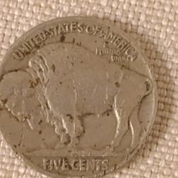 Buffalo Nickel