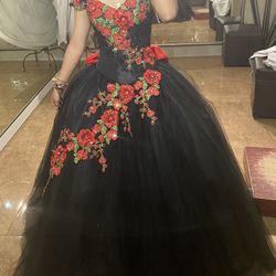 Quinceañera  Dress 