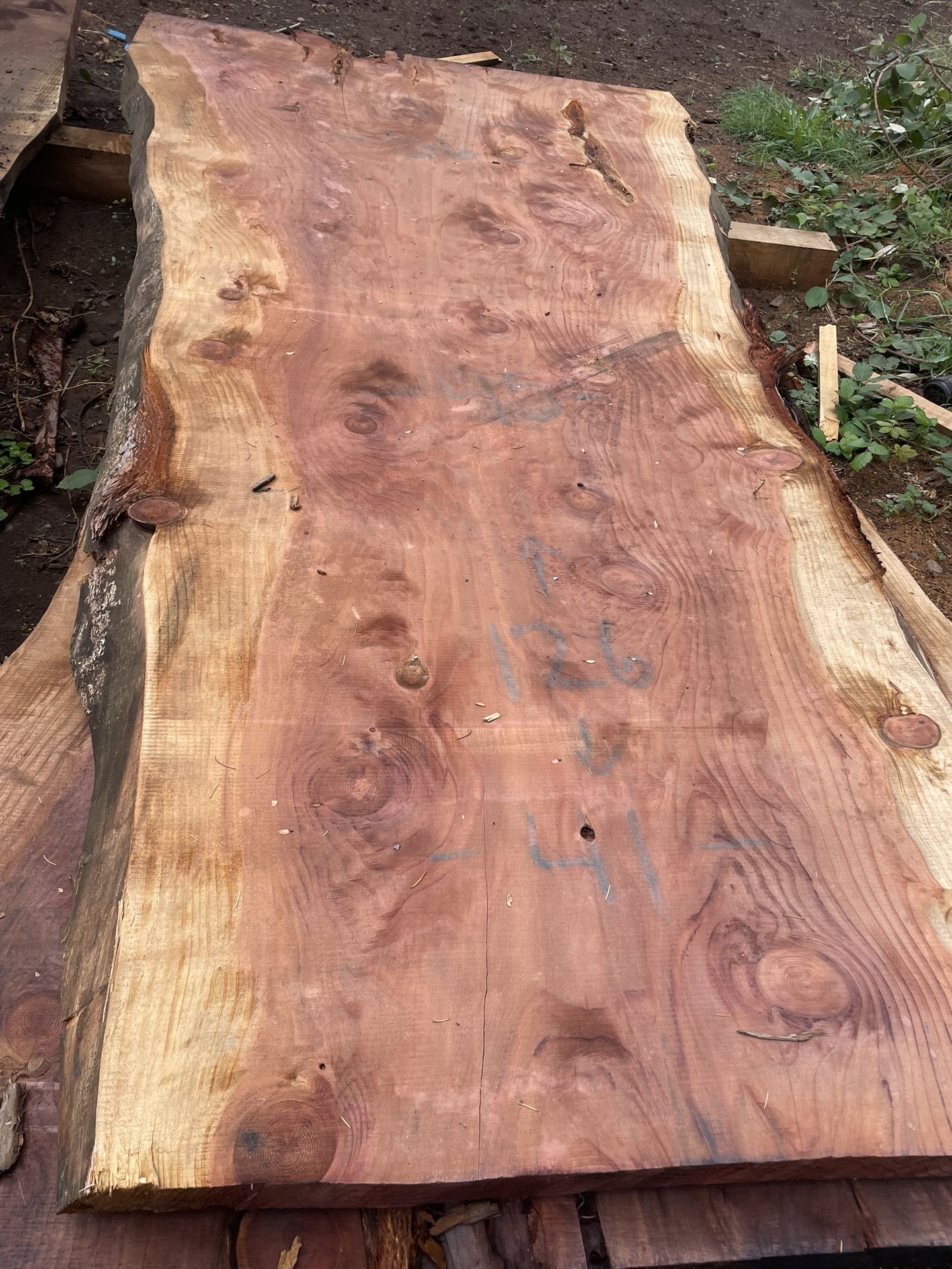 Monster Live Edge Redwood Slabs