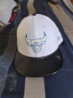 Chicago bulls