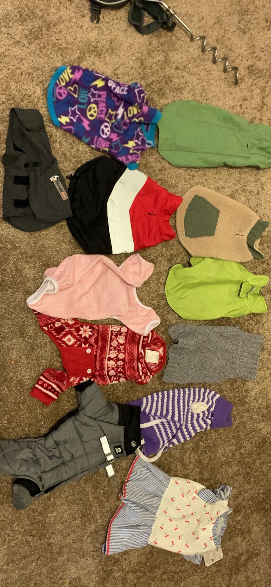 Dogs Clothes, Harness, Disposable Tray’s, And More