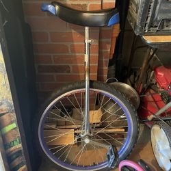 Unicycle 