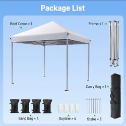 Canopy 10x10