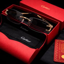 Cartier Sunglasses 