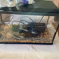 Fish Tank Bundle 