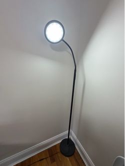 LED Floor Lamp with Flexible Gooseneck