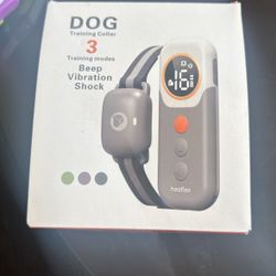 Dog Training Collar 