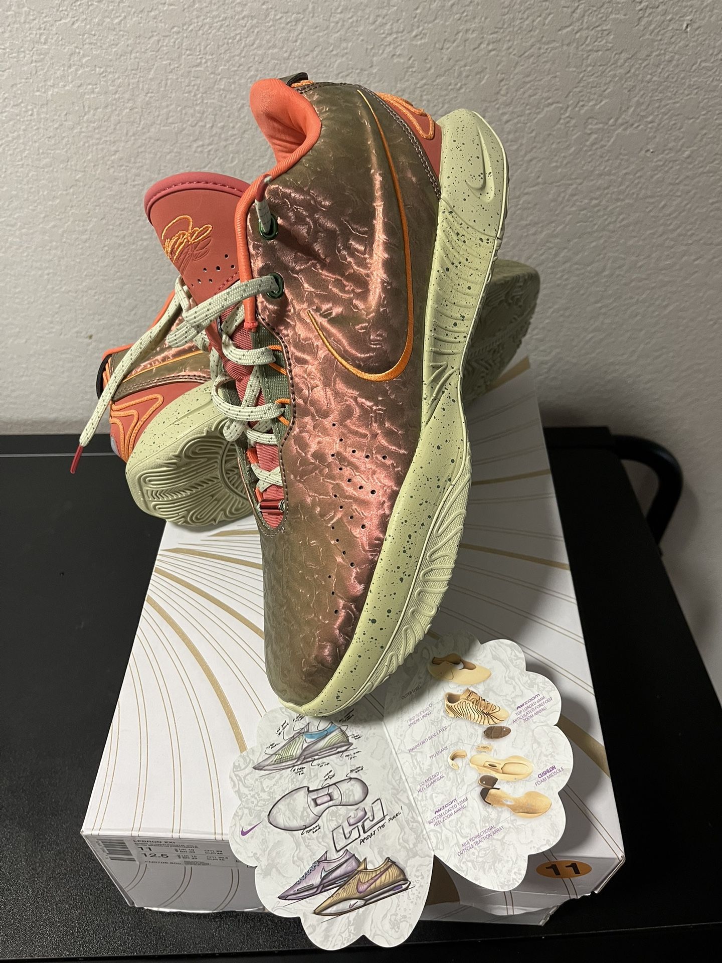 Brand new men’s Size 11 Nike LeBron 21