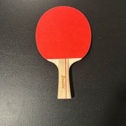 Ping Pong Paddle