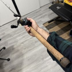 Fenwick Elite Baitcasting Rod