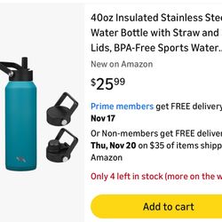 40oz Insulated Bottle 