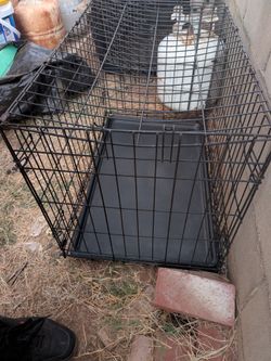 Medium crate