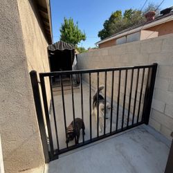 Black Gate