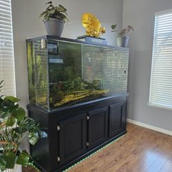 225 Gallon Fish Tank (Aquarium)