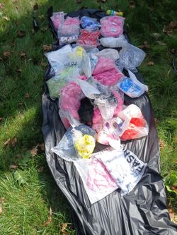 Huge shein clothing lot