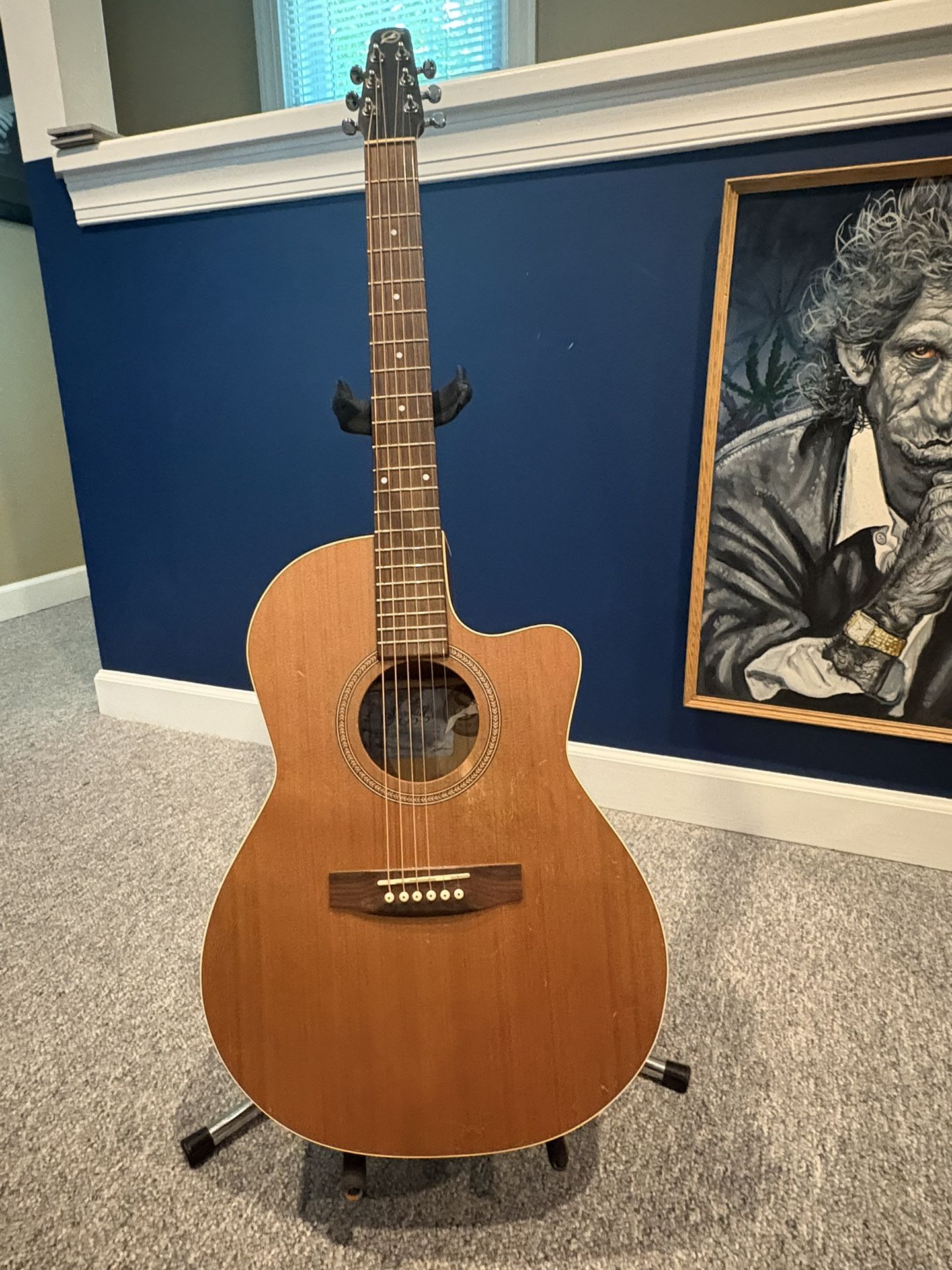 Seagull Electric Acoustic Guitar